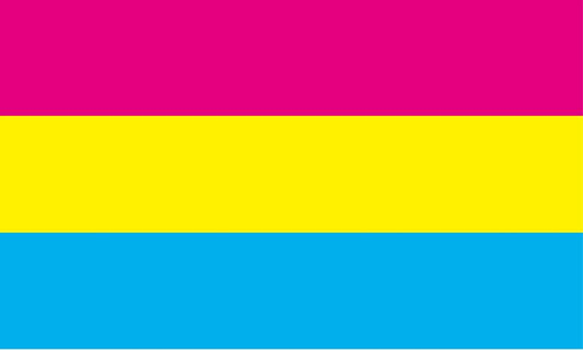 Pansexuell Flag 90x150cm