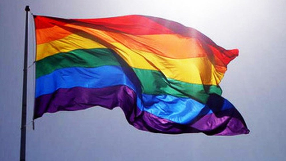 large LGBT Rainbow Gay Pride Flag